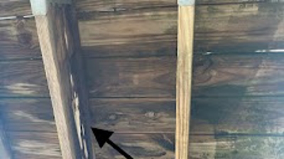 Even pressure treated wood can have rot if not properly sealed each year. Photo
